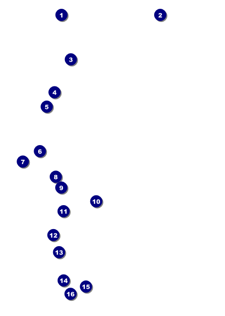 Bingo Bonanza Extravaganza Club Flyer Front Field Markers