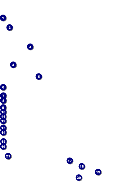 Silver Glitter Poster Front Field Markers