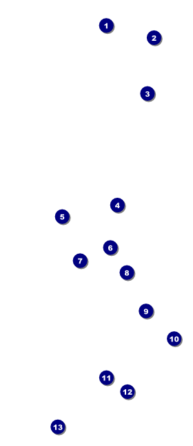 Enchanted Forest VIP Pass Front Field Markers