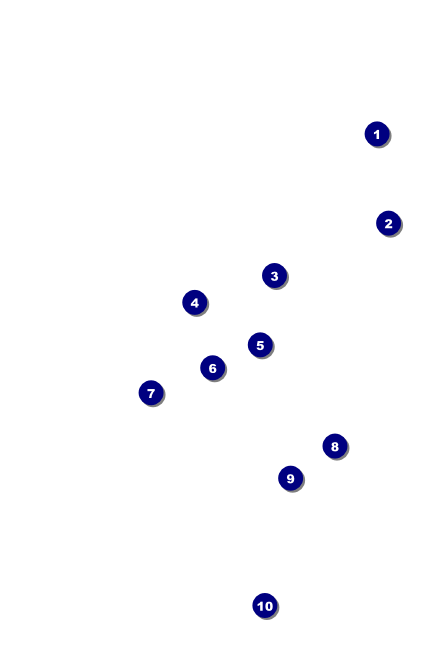 Glittering Celebration Drink Ticket Front Field Markers