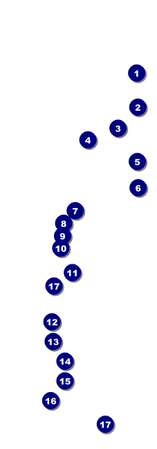 Glittering Celebration Raffle Ticket Front Field Markers