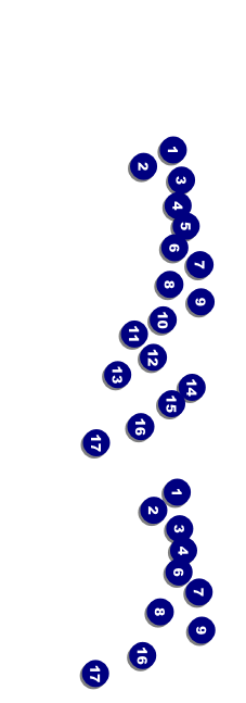 Casino Night Event Ticket Front Field Markers