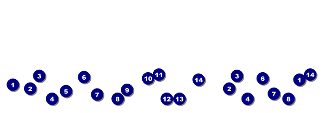 Blue Flowers General Admission Ticket Front Field Markers
